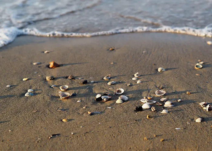 Modern With Pool And Garden